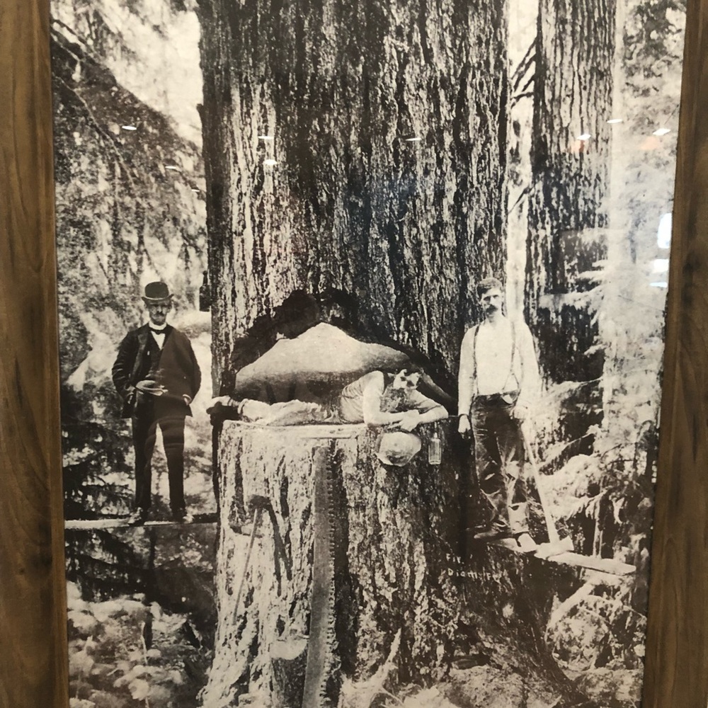 Meet your Posher, Raluca